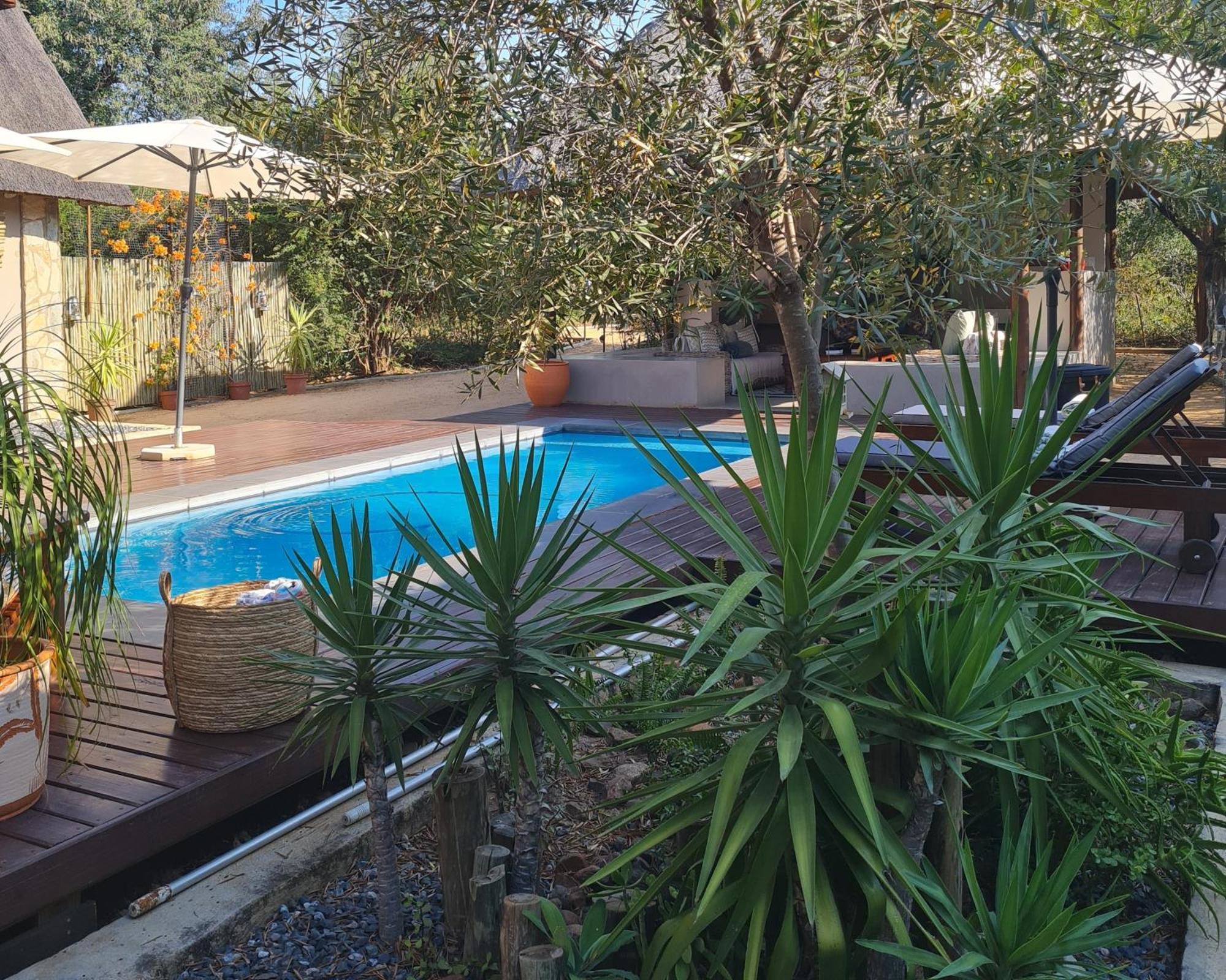 The Dreamcatcher Lodge Hoedspruit Ngoại thất bức ảnh
